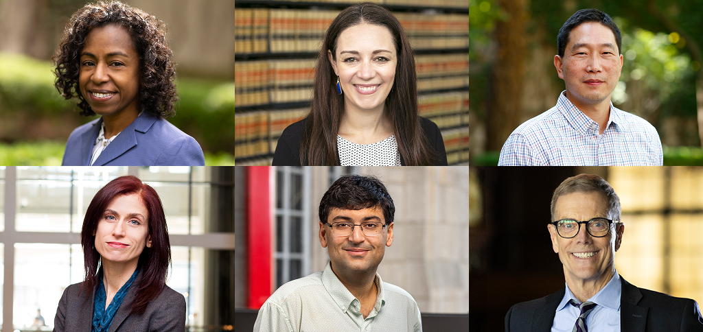 Top (l to r): Myriam Gilles, Stephanie Holmes Didwania, Michael Kang
Bottom (l to r): Deborah Tuerkheimer, Dhruv Aggarwal, James P. Pfander 